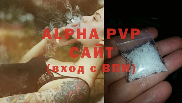 прущие грибы Няндома
