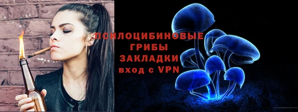 прущие грибы Няндома