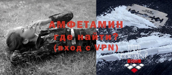 прущие грибы Няндома