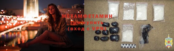 прущие грибы Няндома