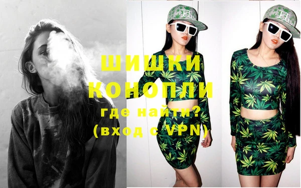 прущие грибы Няндома