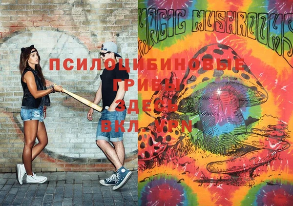 хмурый Белая Холуница