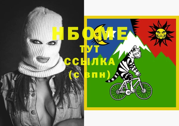прущие грибы Няндома
