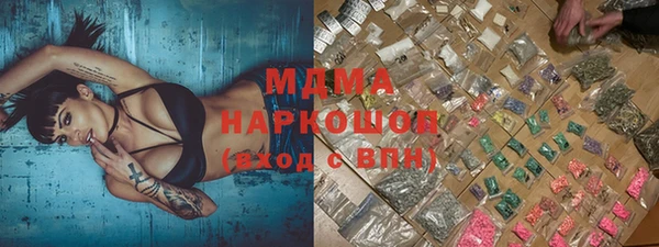 прущие грибы Няндома