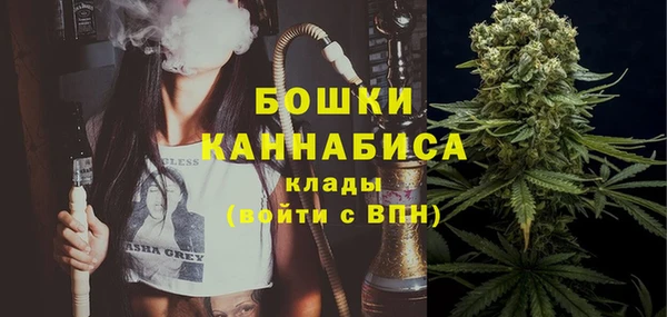 прущие грибы Няндома